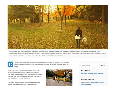 Ripple WordPress Theme - Post blog post theme wordpress