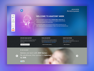 Anatomy Week anatomy blurred campaign colorful facts marketing