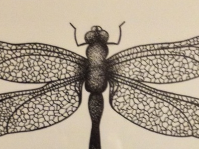 Dragonfly art design dotwork dragonfly drawing illustration insect nature pen and ink pointillism stippling