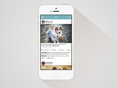 Moofio Feed, revised adoption feed ios7 mobile moofio pets photo editor post social network