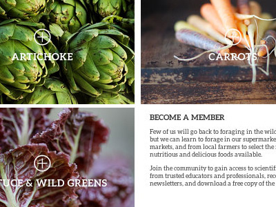Class final = finished! Inspired by author Jo Robinson. class front end project web design