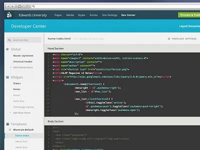 Bluetrain Redesign Product Preview cms interface ui user interface website