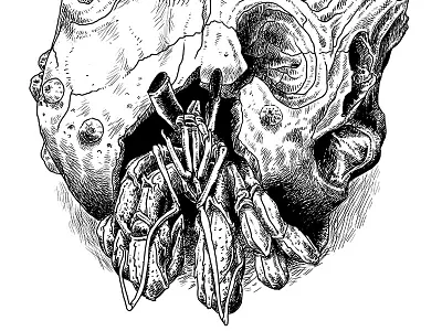 Hermit Crab animal art crab creature cross hatching draw drawing hatching hermit crab illustration skull