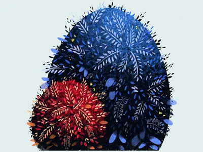 Plants bushes illustration plants trees