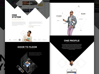 Seven - Full angle diamond elegant seagulls landing responsive sas web website
