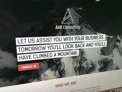 ÅRØ Consulting Website aro aro consulting flat homepage landing page ui web website