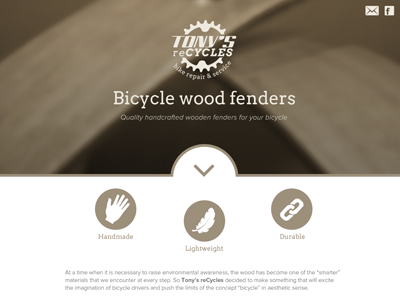 Tony's reCycles infographic logo design website design