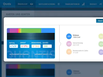 Personal expenses report chart credit card expenses finance report