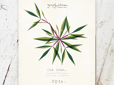 Weeds Botanical Wall Calendar geometric illustration modern nature plants weeds