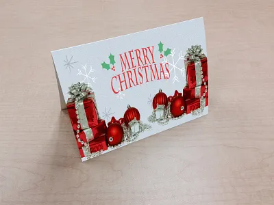 2013 Christmas Card 2013 card christmas