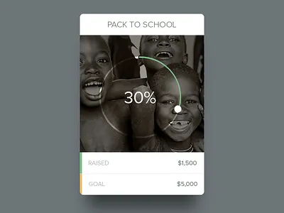 Project Widget charity fund goal graph widget