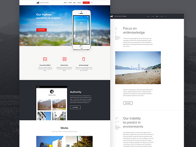 The Black Swan clean portfolio template startup template template themeforest