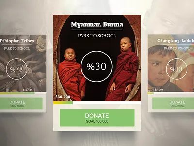 Project Widget bar charity child donate goal graph green ui widget
