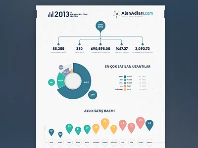 infographic (2013) 2013 chart data design flat graph info graphic infographic infographics statistics stats