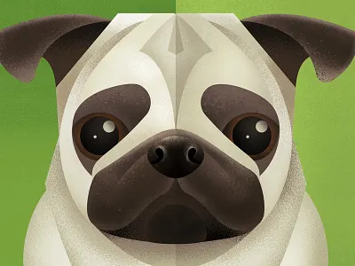 Pug illustrator photoshop pug