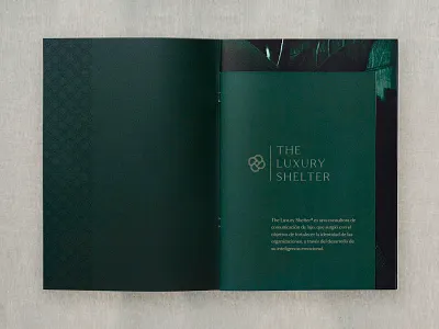 The Luxury Shelter branding brochure consultancy design editorial elegant gold graphics logo logo design luxury print studio typography vector