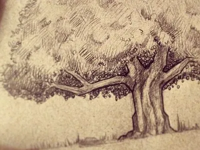 Tree Sketch