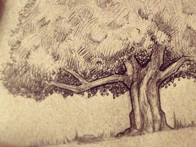 Tree Sketch