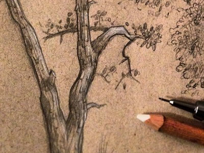 More tree practice