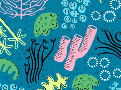 Great Barrier Reef Pattern coral great barrier reef pattern