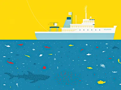 Life Aquatic blue life aquatic ocean poster shark yellow