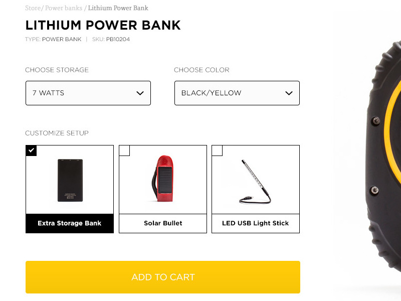 Example of Customization Options