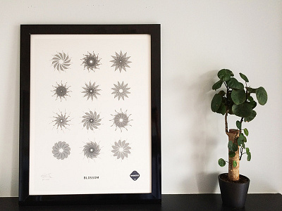 Blossom Print blossom illustration poster print processing