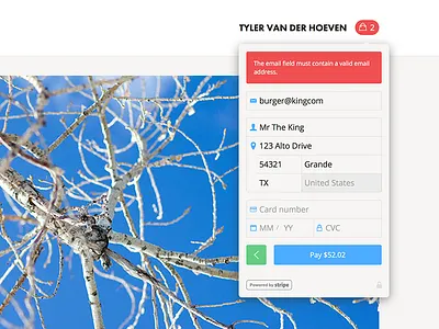 Stripe Payment Form custom flat form payment shop store stripe
