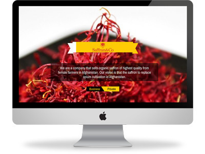 Saffran Company Landing Page2 creativity design landing page landing page design webpage website website landing page website landing page layout