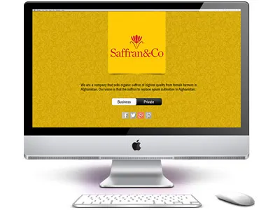 Saffran Landing Page design landing page webpage website website landing page website landing page layout