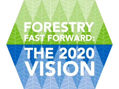 Forestry Logo forestry graphical logo simple