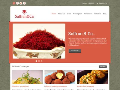 Saffran Company Web Design #3 creativity design web design template web layout web layout template webpage website website design website template