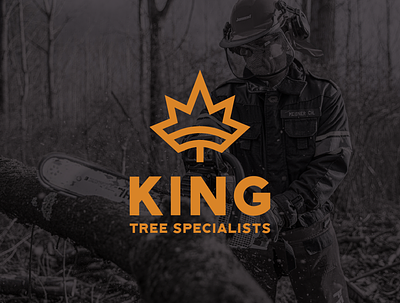King Tree Specialists brand design branding concept design graphic design logo tree