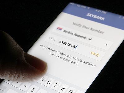 Bank App for iPhone activation app balance bank interface iphone money notification price serbia ui verify