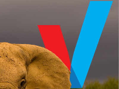 Pivot logomark elephant layers logo