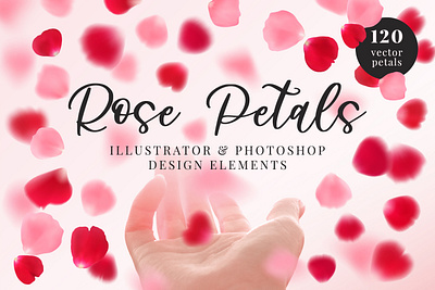 Rose Petals Design Elements branding design digital art realistic rose petals sakura vector vector art vector collection vector set