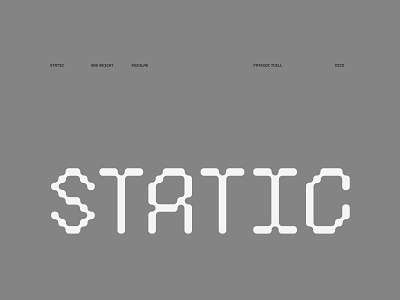 Static - A Display Typeface branding clean composition design font identity illustration layout letter letter forms letters logo logo design minimal modern type type design typeface typography vector