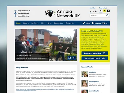 Aniridia Network UK a11y accessibility blue contrast web design website wordpress yellow