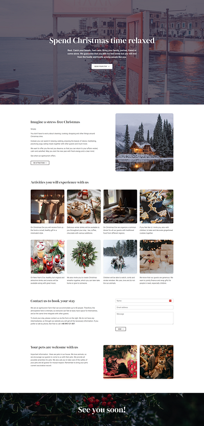 Christmas Landing Page design landing page ui ui design web design
