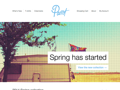 Homepage ecommerce store website