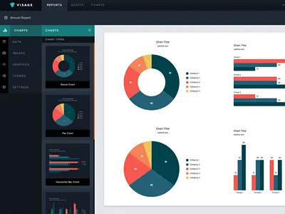Visage App app chart charts data viz interface reports software ui user visage visualizations web app