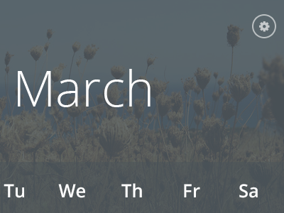 Calandar Widget calandar ui