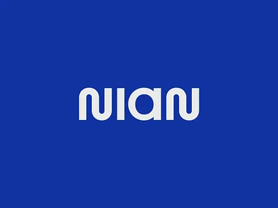 Nian brand brand id brandbook branding design graphics light lighting logo logo design logo mark studio typography vector