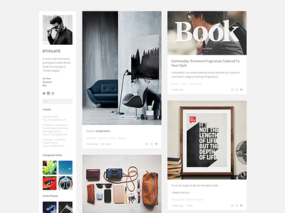 Etiolate Tumblr Theme clean design minimal theme tumblr ultralinx web
