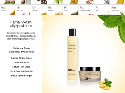 PCA Product products skin care