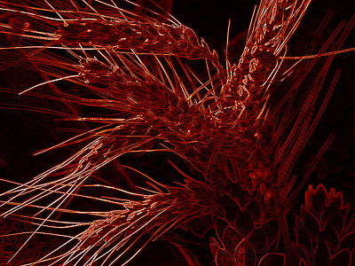 Dramatic retouching black red retouching wheat