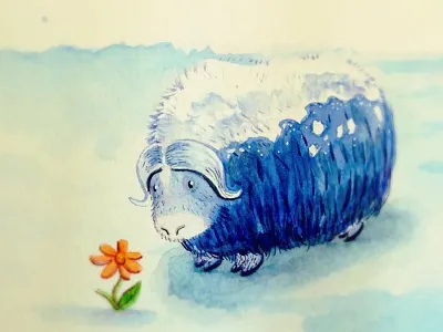 Muskox illustration muskox sketchbook watercolor