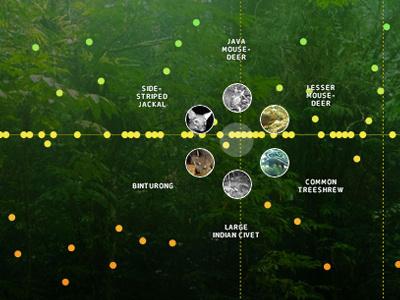 Earth Insights data visualization ui