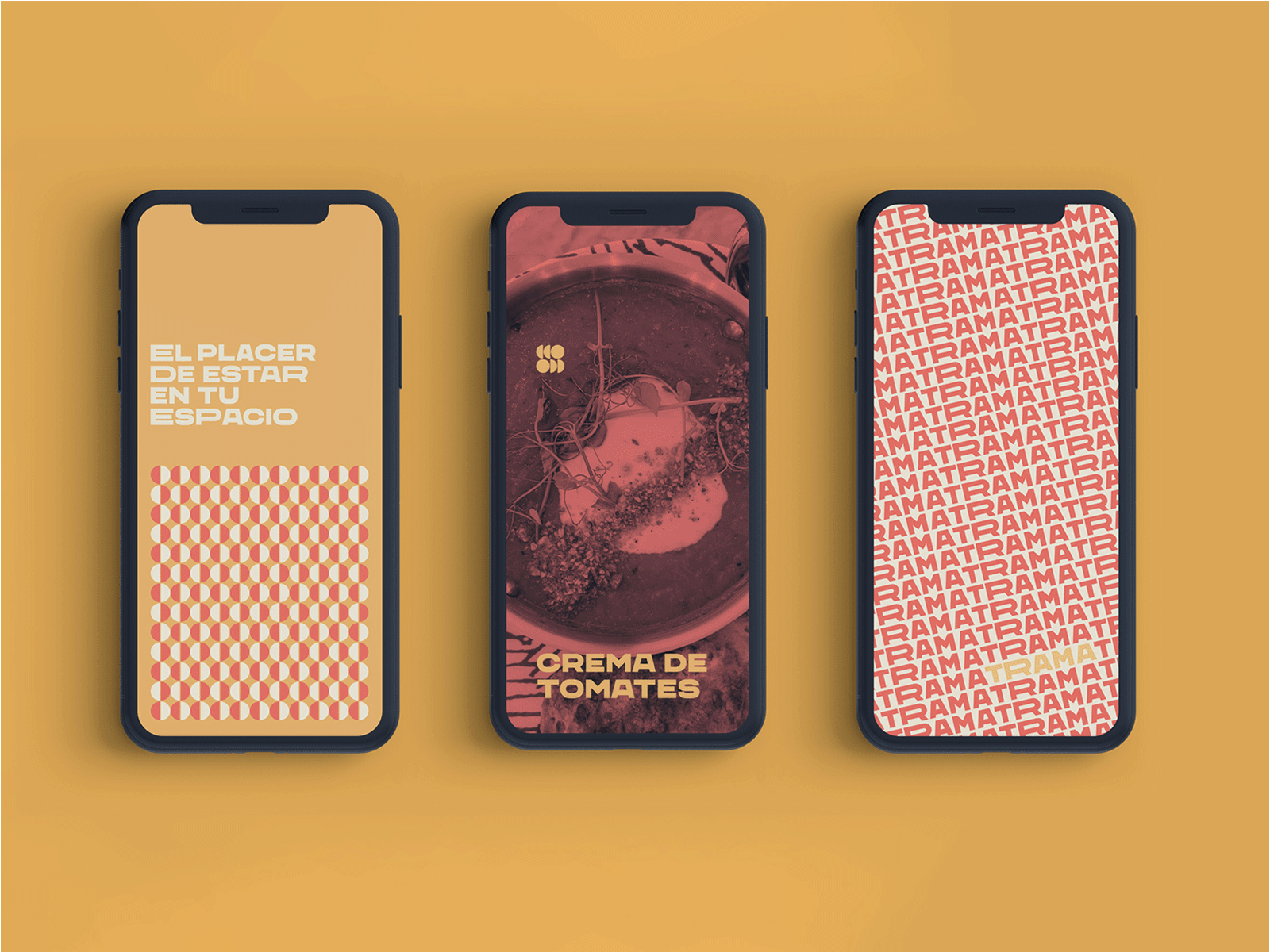 Trama animated graphic system branding channel cooking design diy gardening graphics identity logo logo design patterns peru studio typography vector visual identity youtube