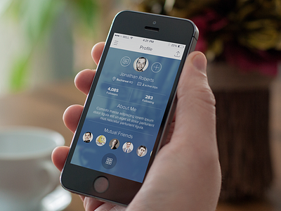 User Profile clean ios ios7 iphoneapp photoshop profile ui user interface
